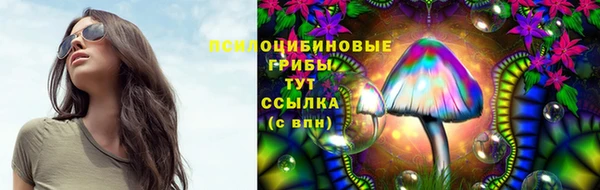 СК Бронницы