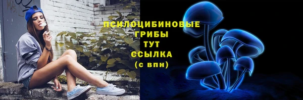гашик Бугульма
