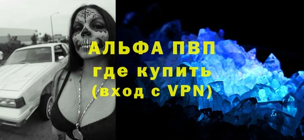 спиды Бородино