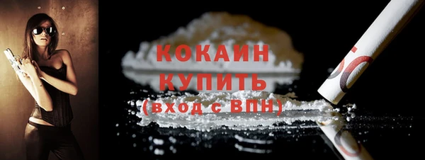 дмт Осташков