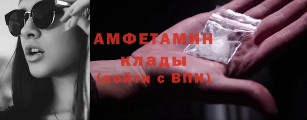 спиды Бородино