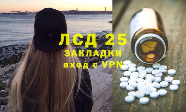 спиды Бородино