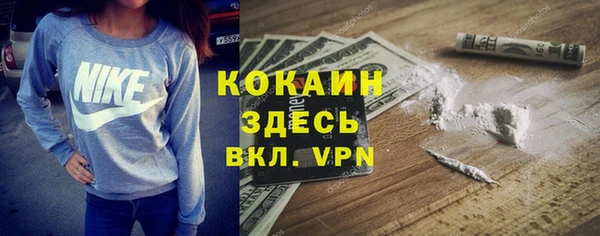 спиды Бородино