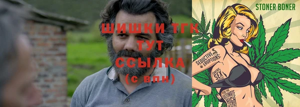 спиды Бородино
