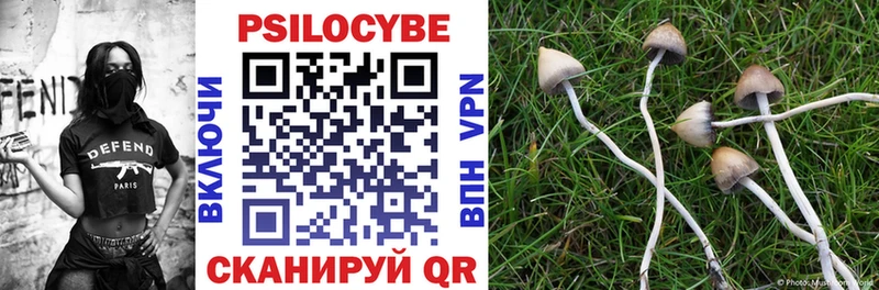 Псилоцибиновые грибы Psilocybine cubensis  Смоленск 
